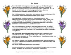 Abschreibtext-Krokus.pdf